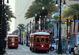 New orleans, tram, america — Why the body resists weight reduction?